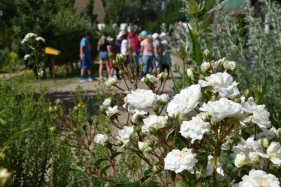 2023 07 04 Vorlesestunde KuBZ