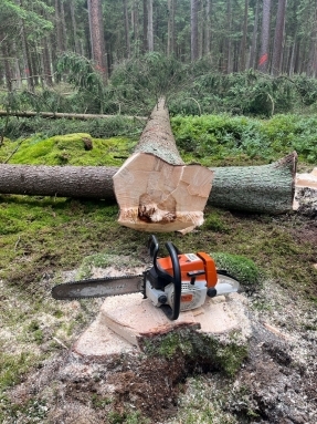 2026 07 23 Motorsägenkurs KUBZ