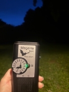 2026 07 31 Fledermausexkursion KuBZ