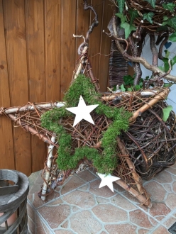 2026 11 14 Faszination Weide Irene Fießinger