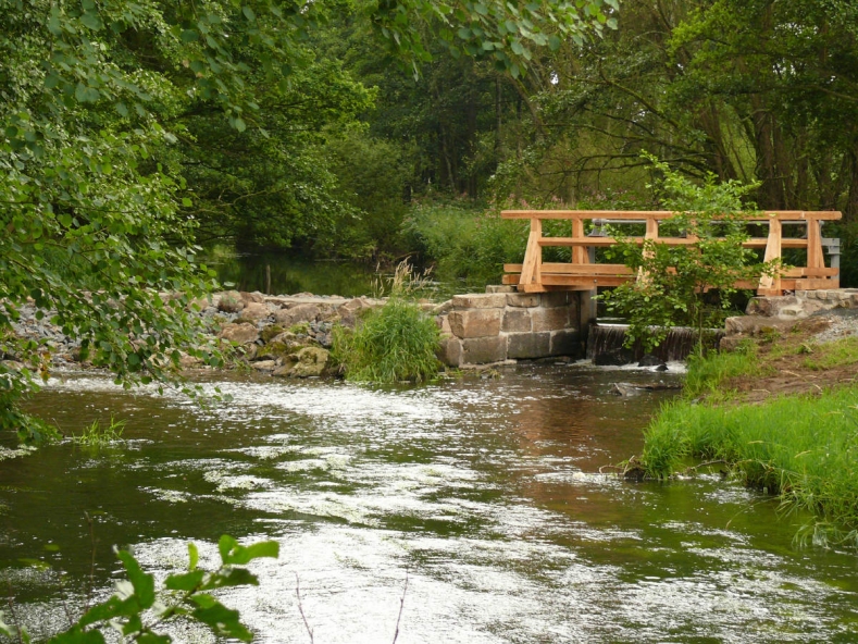 Besinnungspfad Wehr Wasserrad 043