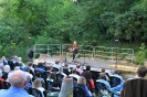 Konzert Sommer Open Air_5