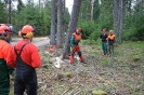 Motorsägenkurs 2016 für Brennhozselbstwerber_11