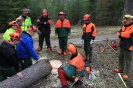 Motorsägenkurs 2016 für Brennhozselbstwerber_13