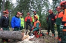 Motorsägenkurs 2016 für Brennhozselbstwerber_14