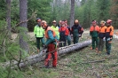 Motorsägenkurs 2016 für Brennhozselbstwerber_16