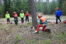 Motorsägenkurs 2016 für Brennhozselbstwerber_7