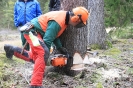 Motorsägenkurs 2016 für Brennhozselbstwerber_8