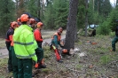 Motorsägenkurs 2016 für Brennhozselbstwerber_9