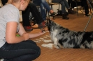 Seminar Tiergestützte Pädagogik und Therapie_23