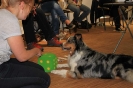 Seminar Tiergestützte Pädagogik und Therapie_24